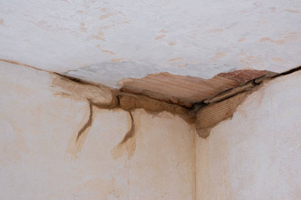 Best Flooded house restoration  in Cottonport, LA