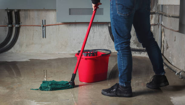 Best Flooded house restoration  in Cottonport, LA
