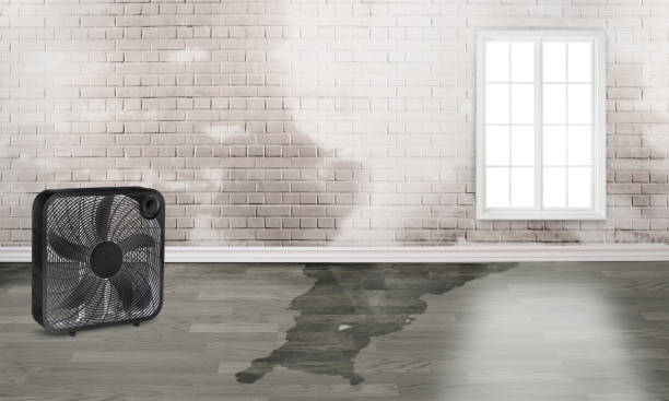 Best Residential water damage restoration  in Cottonport, LA