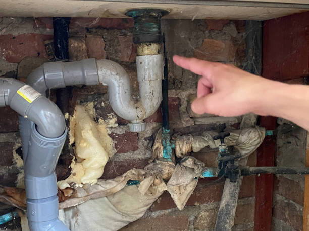 Best Basement water damage restoration  in Cottonport, LA