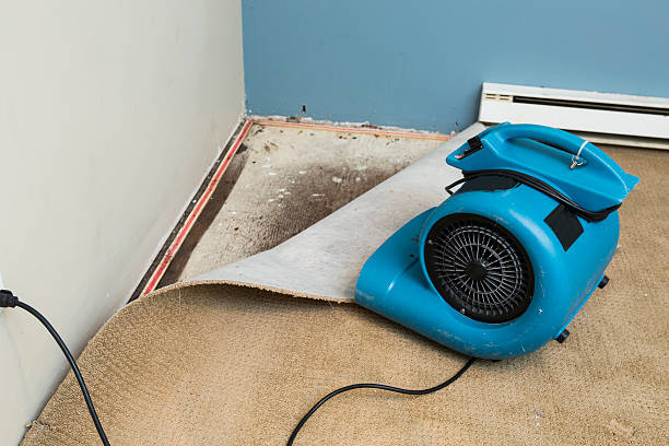 Best Water damage restoration services  in Cottonport, LA